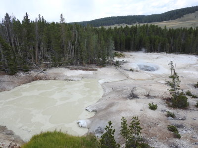 DSCN4600.JPG