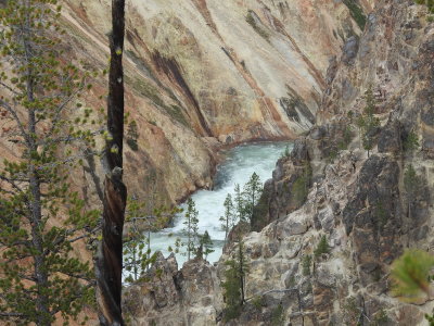 DSCN4652.JPG