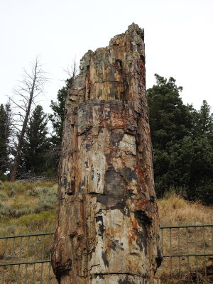 DSCN4693.JPG