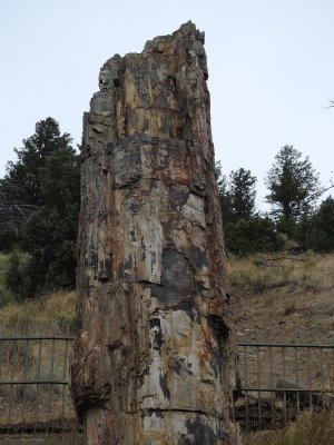 DSCN4696.JPG