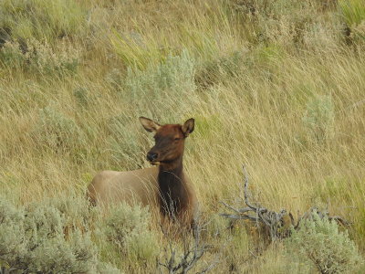 DSCN4708.JPG