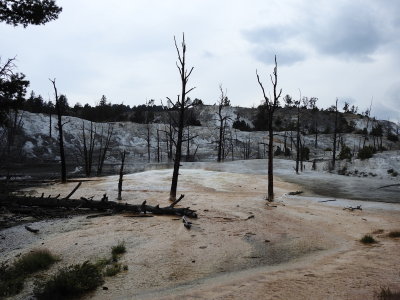 DSCN4748.JPG