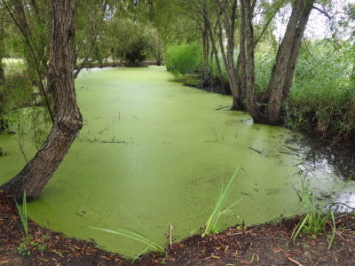 DSCN5043.JPG