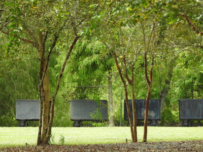 DSCN5067.JPG