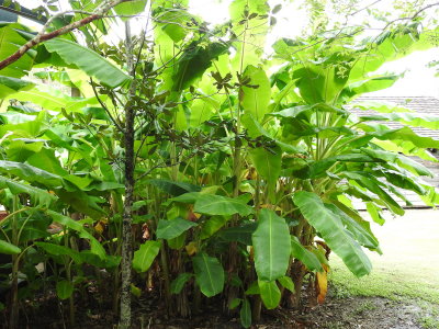 DSCN5075.JPG