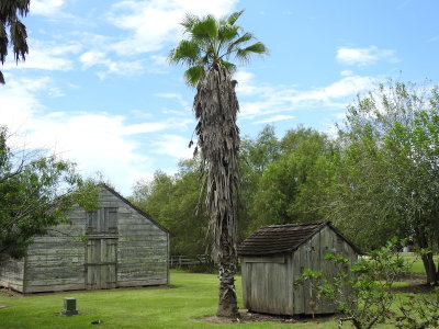 DSCN5107.JPG