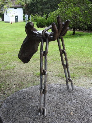 DSCN5110.JPG