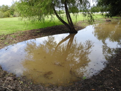 DSCN5111.JPG