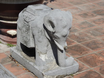 DSCN5586.JPG