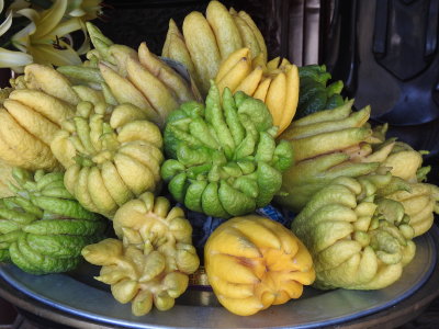 DSCN5587.JPG