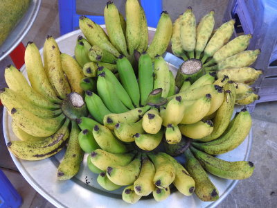DSCN5606.JPG