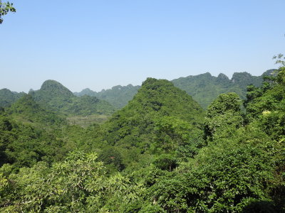 DSCN5610.JPG