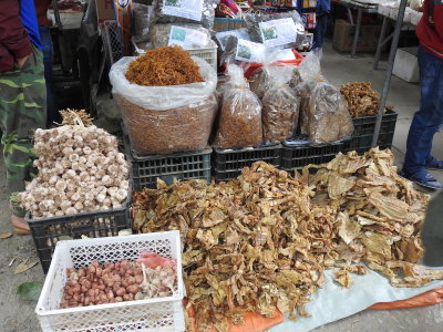 DSCN5801.JPG