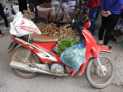 DSCN5802.JPG