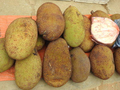 DSCN5817.JPG
