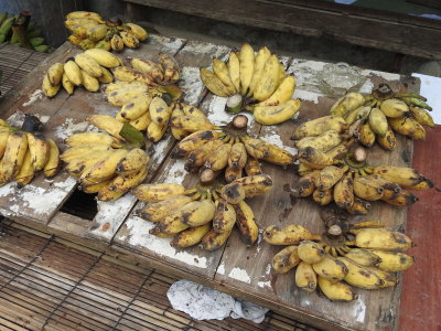 DSCN5830.JPG