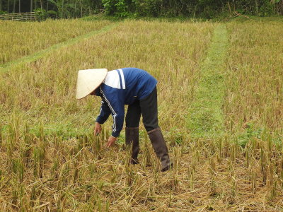 DSCN5836.JPG