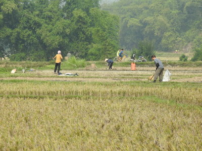 DSCN5887.JPG