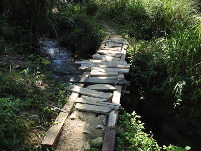 DSCN5936.JPG