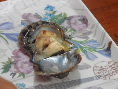 DSCN6548.JPG