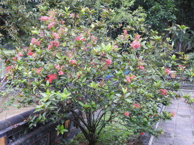 DSCN6839.JPG