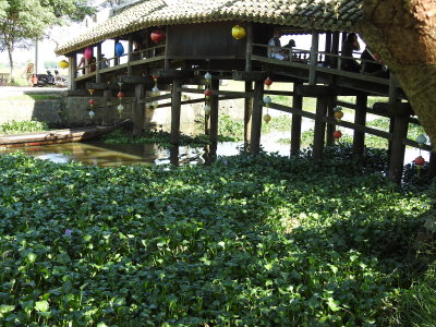 DSCN6923.JPG