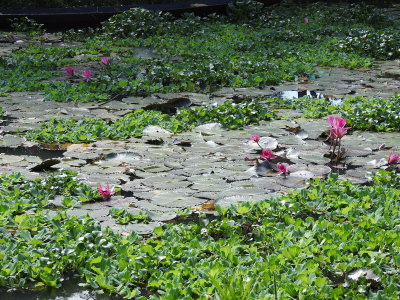 DSCN6948.JPG