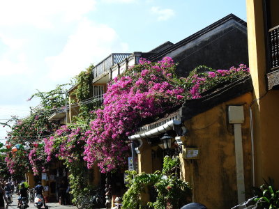 DSCN7230.JPG