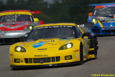 Corvette Racing 