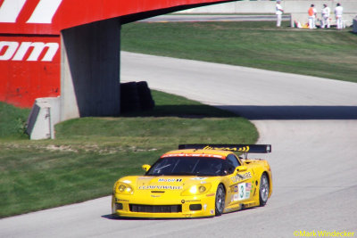 Corvette Racing 