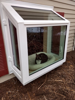 New garden window