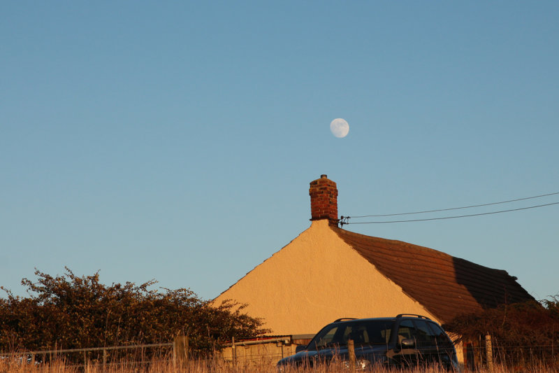 Half Moon Cottage