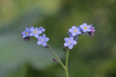 g10/61/523761/3/167427826.kOXTsYn5.jpg