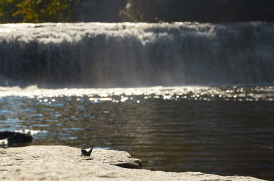 Hooker Falls
