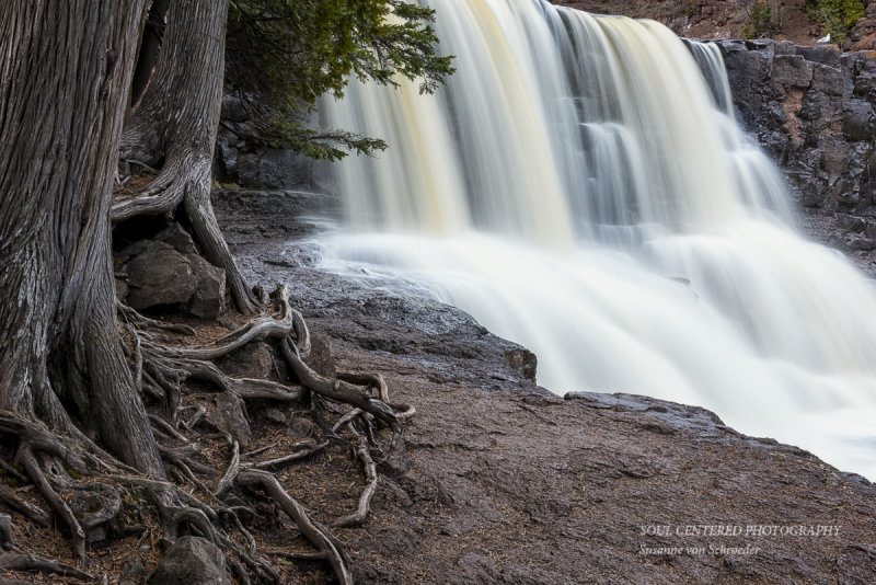 Gooseberry Falls, close up with roots