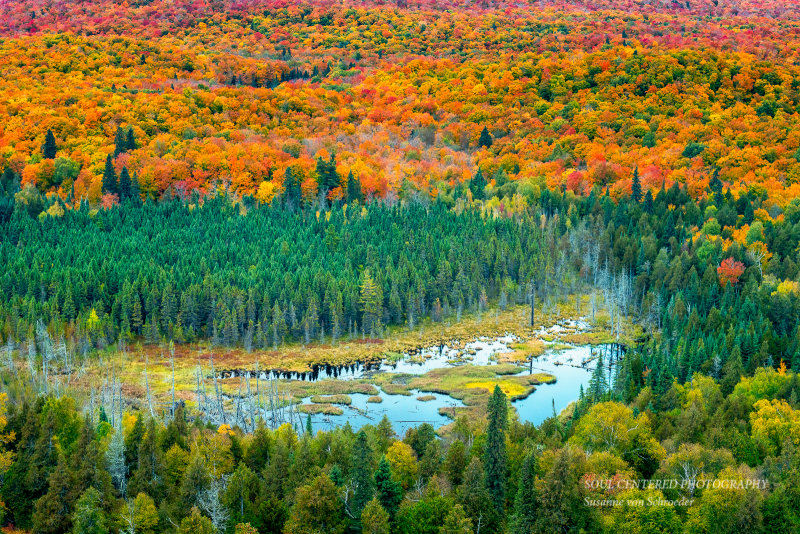 View from Oberg Mountain 4