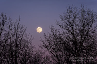 Full moon in March