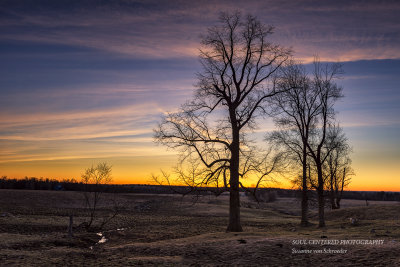 Just before sunrise