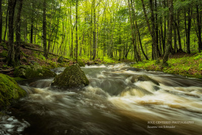 Creek in the Blue Hills