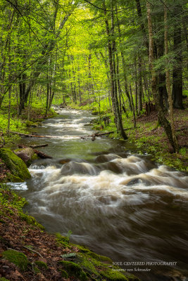 Creek in the Blue Hills 2
