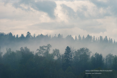 Layers of fog