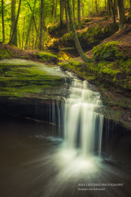 Echo Dells 2