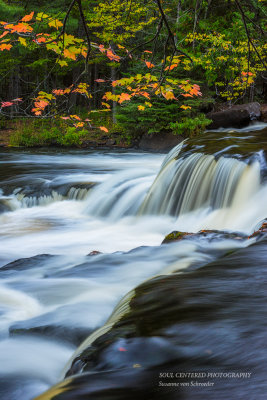 Upper cascades at Bond Falls with branch