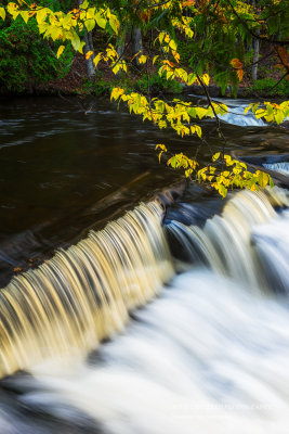 Bond Falls, close up with branch