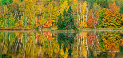 Fall colors, panorama