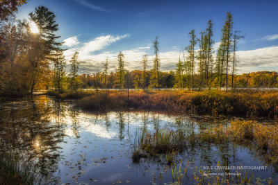 Fall scene at Audie Lake
