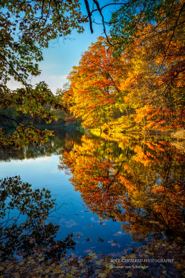 Perfect fall color reflections