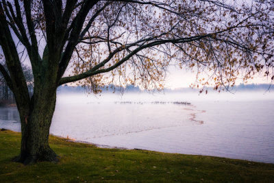 Foggy Lake scene