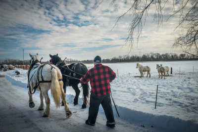 Sleigh ride, getting ready