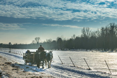 Sleigh ride, returning home